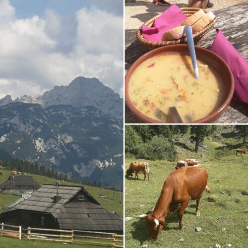 Cows, soup and beautiful mountain landscape