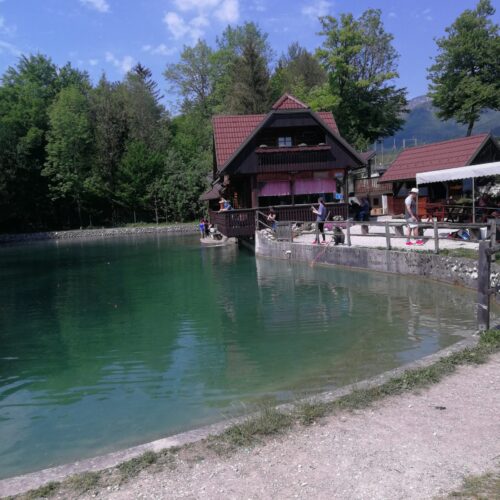 A pound where we will go fishing after Velika planina