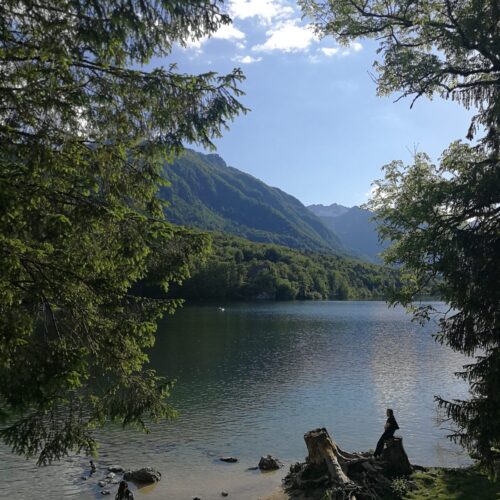 A view from the lake Bohinj and moutain Vogel