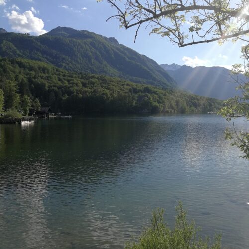 Lake Bohinj