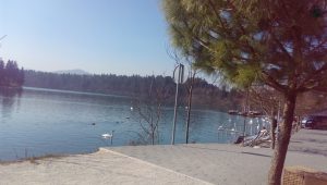 Lake Zbilje
