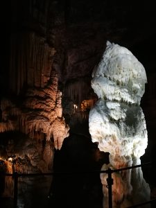 Stalagmites at Postojna cave