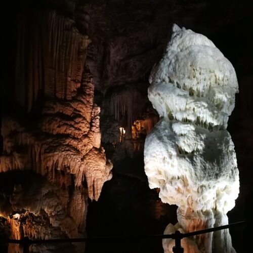 Stalagmites at Postojna cave