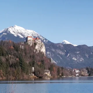 Castle on the cliff, tales of enchantment unfold! 🏰✨ Overlooking the frozen beauty of Lake Bled, the medieval charm of Bled Castle is simply mesmerizing in winter. Stepping into history, surrounded by snow-covered peaks, it's a journey through time with a touch of snowy wonder. #BledCastle #WinterMagic #SlovenianHeritage