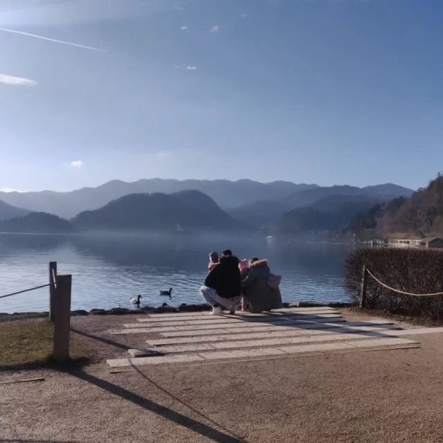 Savoring delightful moments by the lake, where the simple joy of feeding ducks is accompanied by the merry melodies of Christmas. 🦢🎶 Wishing everyone a season filled with warmth and shared happiness. #LakeDays #christmascheer 🎄❤️ #FamilyTime #ChristmasJoy #MerryXmasVibes #slovenia #tourist