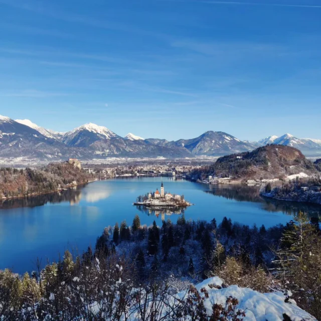 Snow-kissed Lake Bled, the castle on the hill, and this view - it's like a fairy tale bathed in sunny glory! Royal moments in the snow, where time dances with the sun. 🏰❄️☀️ #BledMagic #SnowySplendor #slovenia #tourist #taxi